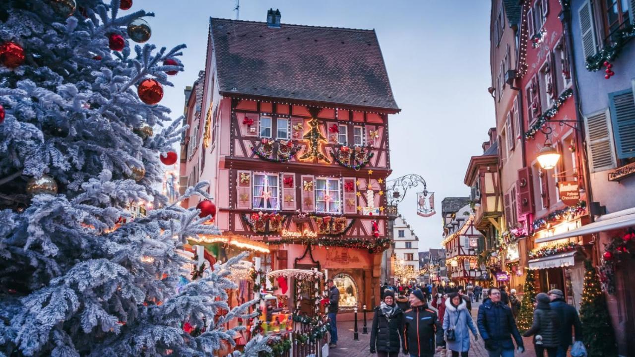 Colmar - Le Nichoir - Centre Historique - Parking Gratuit - Box Velo & Poussette公寓 外观 照片