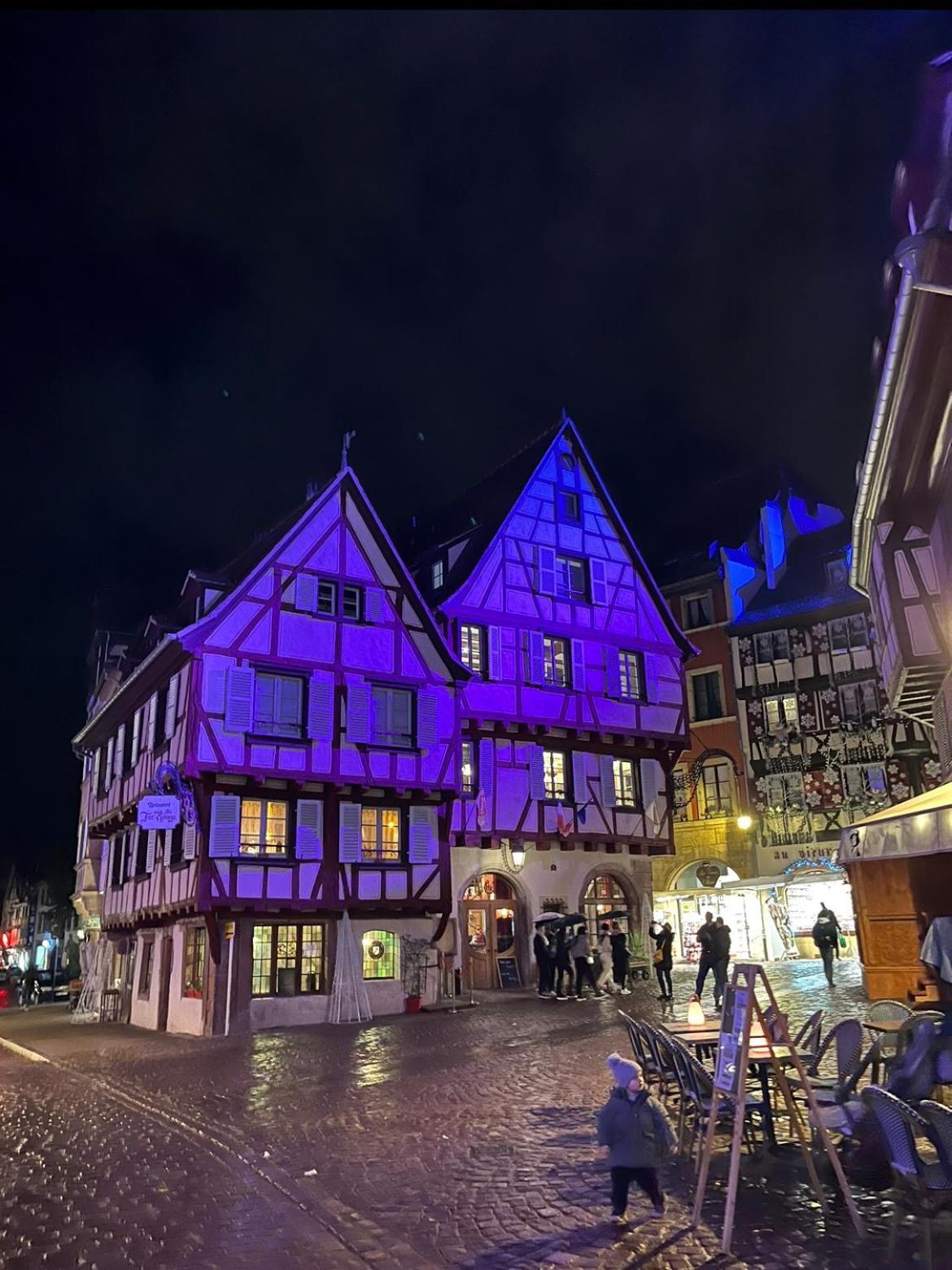 Colmar - Le Nichoir - Centre Historique - Parking Gratuit - Box Velo & Poussette公寓 外观 照片