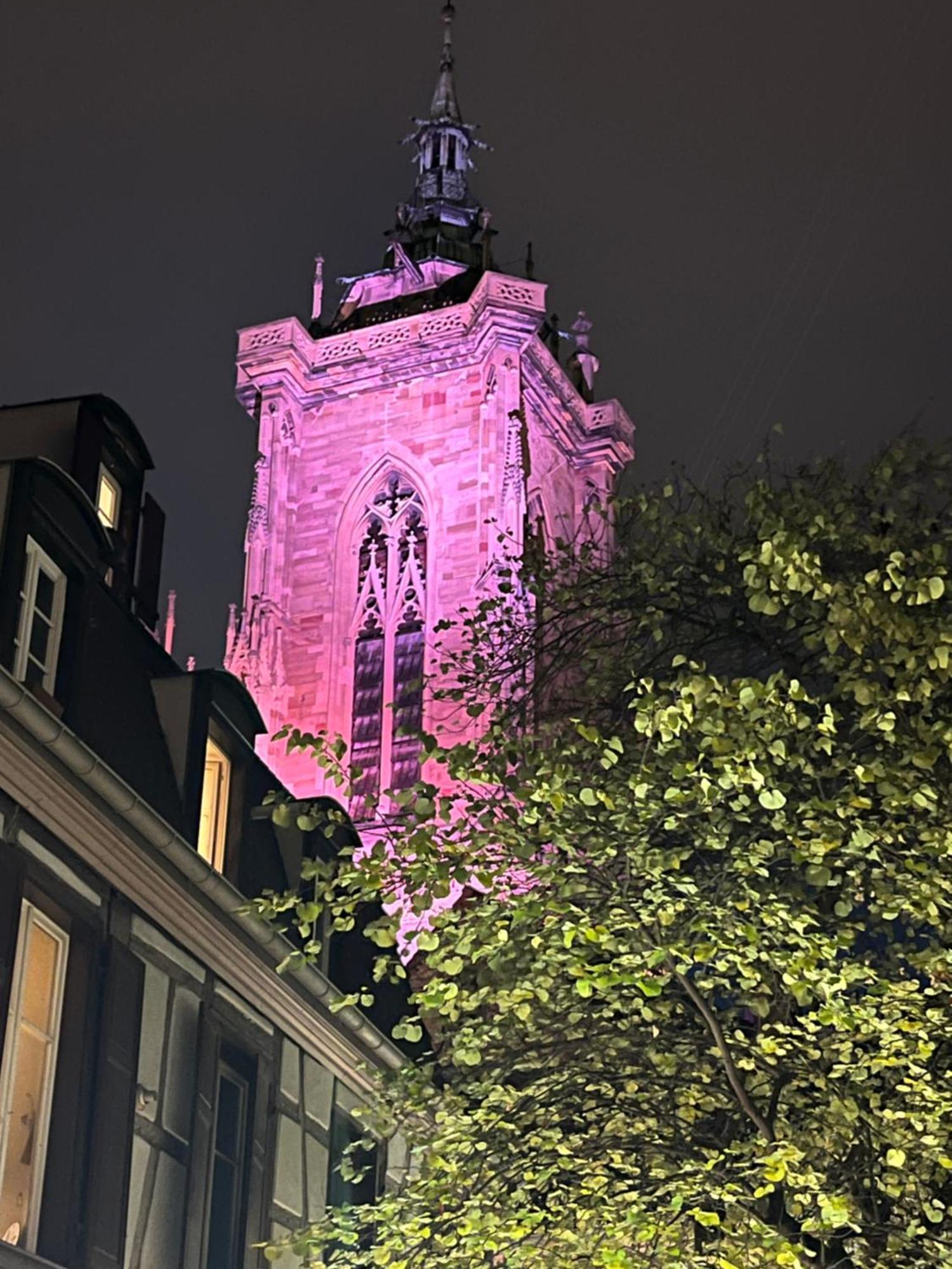 Colmar - Le Nichoir - Centre Historique - Parking Gratuit - Box Velo & Poussette公寓 外观 照片